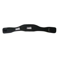 Schiek 2004 Lifting Belt -HARBIN Sports Shop fe8c15fed5f808006ce95eddb7366e35 5d0a74e70a42e 600x600 1
