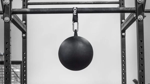 Rogue 12-Inch Pull-up Globe 3 Rogue 12-Inch Pull-up Globe